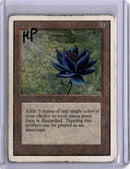 Black Lotus (HP) [Unlimited Edition] [PICS]