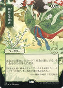 Regrowth (Japanese Foil Etched) [Strixhaven: Mystical Archive]