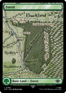 Forest (0280) [The Lord of the Rings: Tales of Middle-earth]