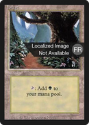 Forest (B) [Foreign Black Border]