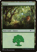 Forest (576) [Secret Lair Drop] Foil
