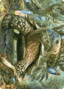 Blossoming Tortoise Art Card [Art Series: Wilds of Eldraine]