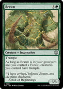 Brawn (Ripple Foil) - Modern Horizons 3 Commander Foil