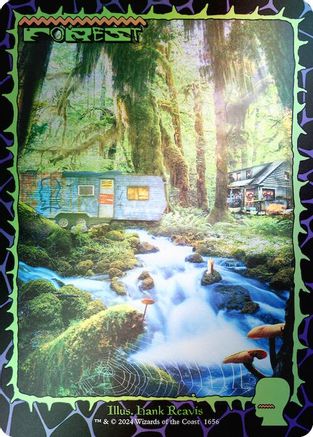 Forest (1656) (Rainbow Foil) [Secret Lair Drop Series] Foil