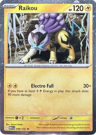 Raikou (Cosmos Holo) 048/132 [Miscellaneous Cards & Products]  - Holofoil