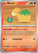 Numel 027/217 [ME Ascended Heroes]  - Reverse Holofoil