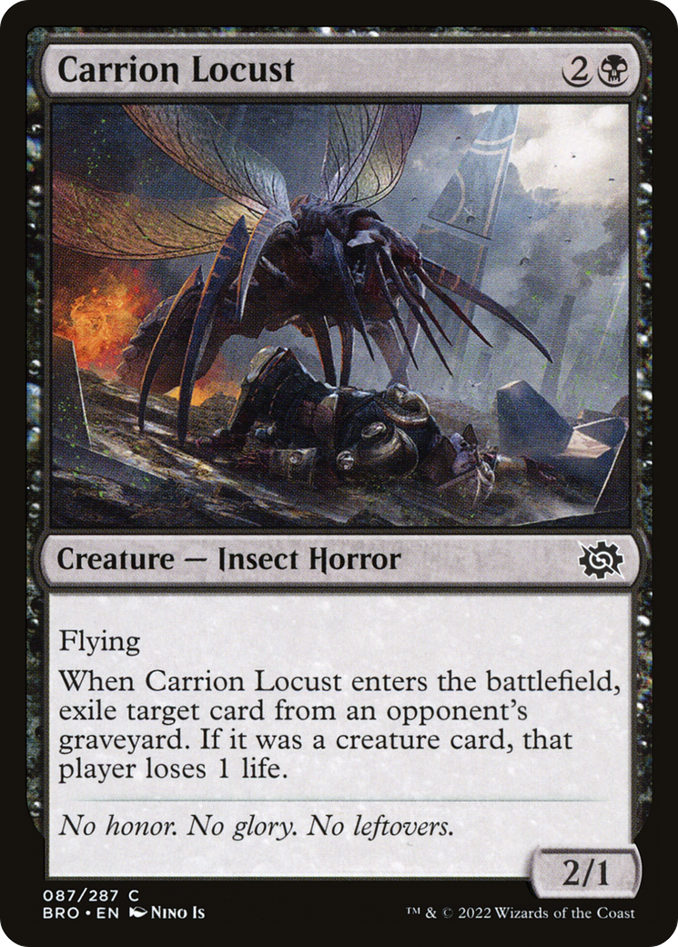 Carrion Locust - The Brothers' War