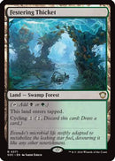 Festering Thicket [Commander: Secrets of Strixhaven]