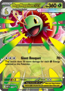 Mega Meganium ex - 34 [Jumbo Cards] - Holofoil