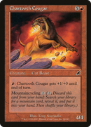 Chartooth Cougar [Scourge]