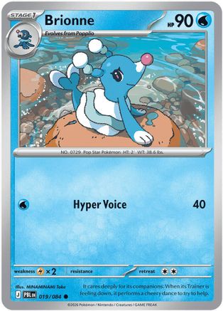 Brionne 019 [ME05 Pitch Black]