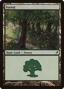 Forest (301) [Lorwyn]