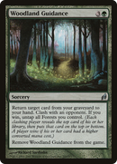 Woodland Guidance [Lorwyn]