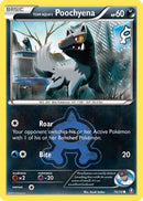 Team Aqua's Poochyena (16/34) [XY: Double Crisis]