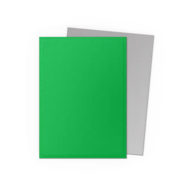 Dragon Shield Standard DUAL Matte Apple Green & Silver