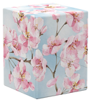 RTE Boulder 100+ Floral Places - Cherry Blossom