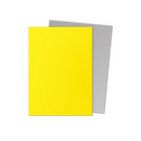 Dragon Shield Standard DUAL Matte Yellow & Silver