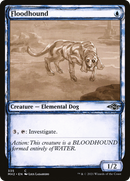 Floodhound (Sketch) [Modern Horizons 2]