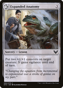 Expanded Anatomy: (lesson) [Strixhaven: School of Mages]