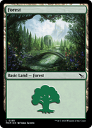 Forest (0285) [Murders at Karlov Manor]