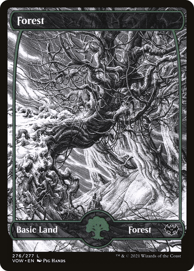 Forest (276): (Showcase) [Innistrad: Crimson Vow]