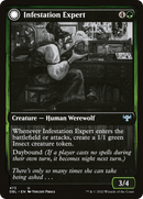 Infestation Expert: (Double Faced Transform) [Innistrad: Double Feature]