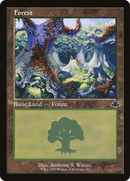 Forest (411) (Retro) [Dominaria Remastered]