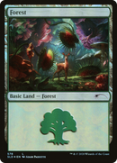 Forest (578) [Secret Lair Drop] Foil